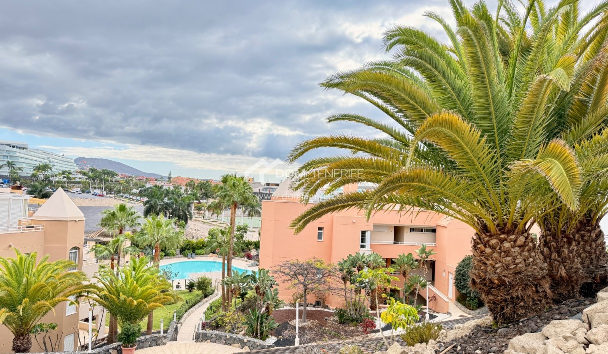 Revente - Plat -
Adeje - La Caleta