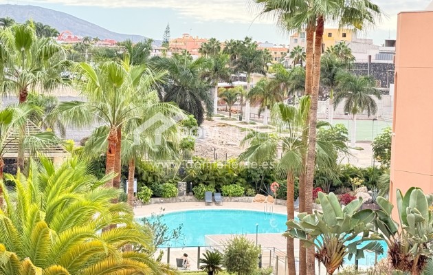 Revente - Plat -
Adeje - La Caleta