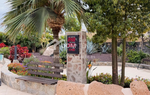 Revente - Plat -
Adeje - La Caleta