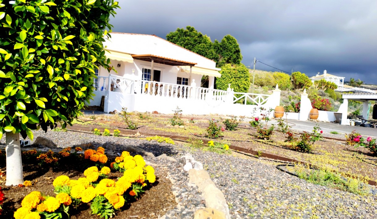 Revente - Maison rustique / terrain rustique -
Guía de Isora  - Piedra Hincada