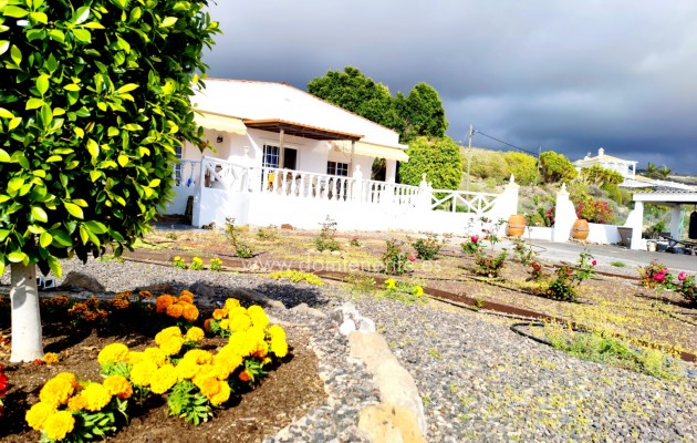 Revente - Maison rustique / terrain rustique -
Guía de Isora  - Piedra Hincada