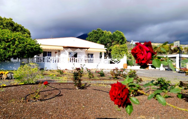 Revente - Maison rustique / terrain rustique -
Guía de Isora  - Piedra Hincada