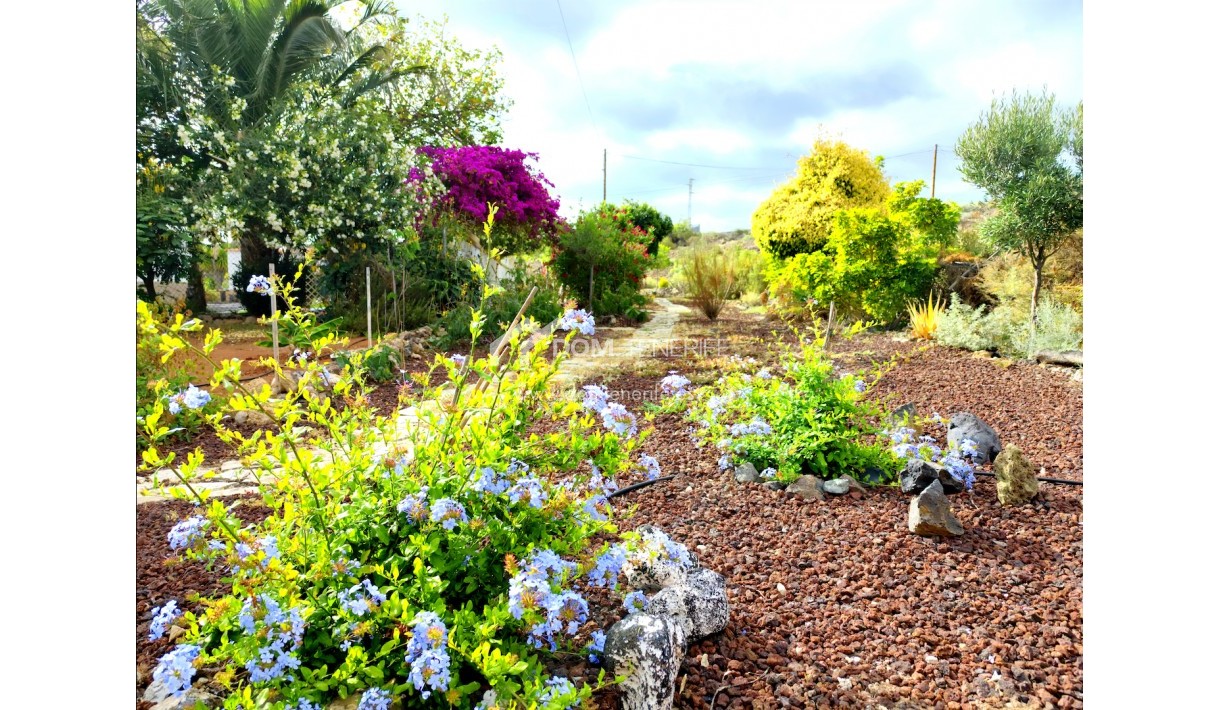 Revente - Maison rustique / terrain rustique -
Guía de Isora  - Piedra Hincada