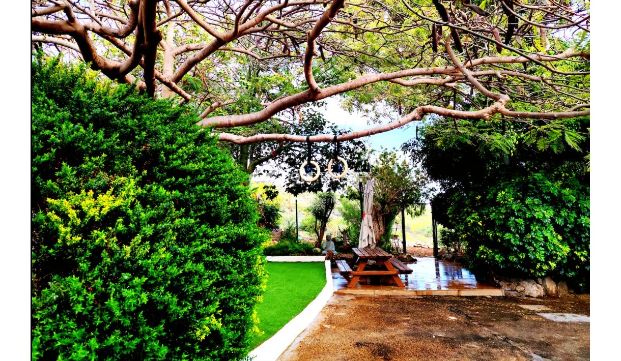 Revente - Maison rustique / terrain rustique -
Guía de Isora  - Piedra Hincada