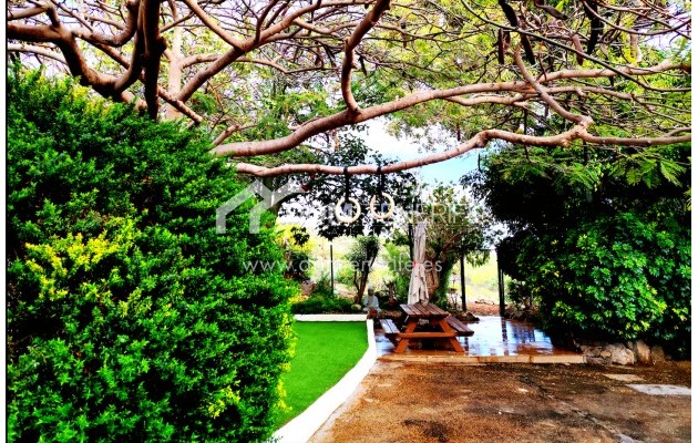 Revente - Maison rustique / terrain rustique -
Guía de Isora  - Piedra Hincada