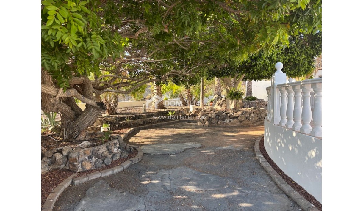 Revente - Maison rustique / terrain rustique -
Guía de Isora  - Piedra Hincada