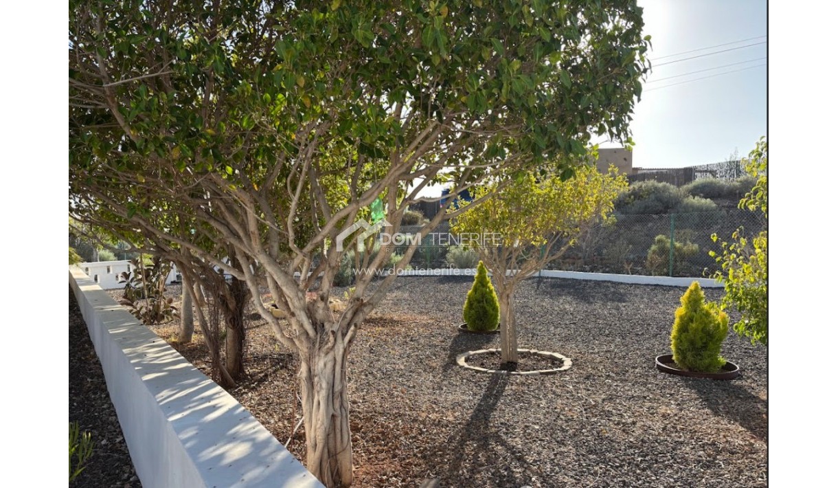 Revente - Maison rustique / terrain rustique -
Guía de Isora  - Piedra Hincada