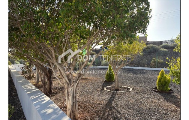 Revente - Maison rustique / terrain rustique -
Guía de Isora  - Piedra Hincada
