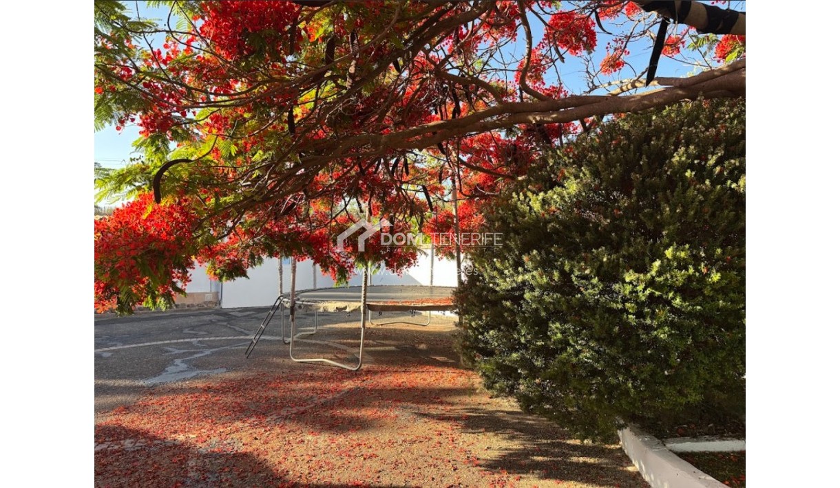 Revente - Maison rustique / terrain rustique -
Guía de Isora  - Piedra Hincada