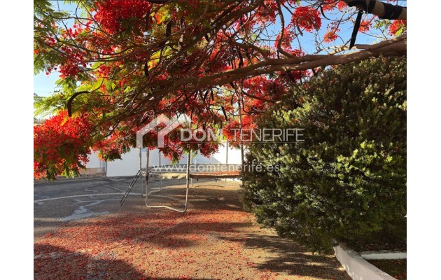Revente - Maison rustique / terrain rustique -
Guía de Isora  - Piedra Hincada