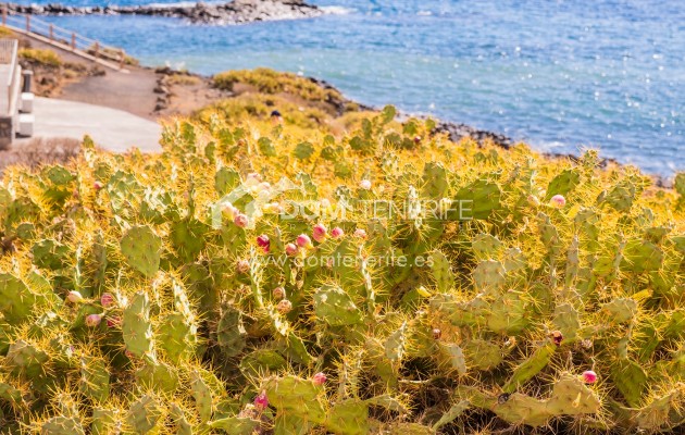 Location courte durée - Villa -
San Miguel de Abona - Amarilla Golf