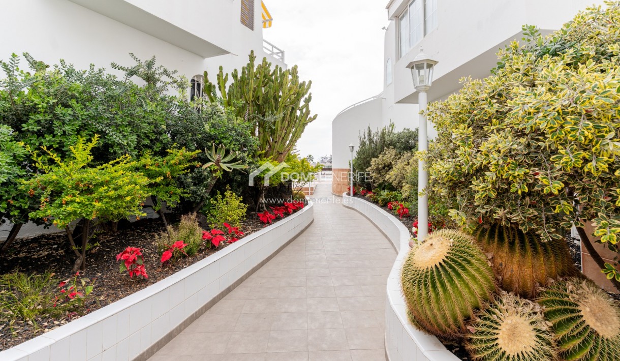 Venta - Chalet pareado -
Adeje - San Eugenio Bajo