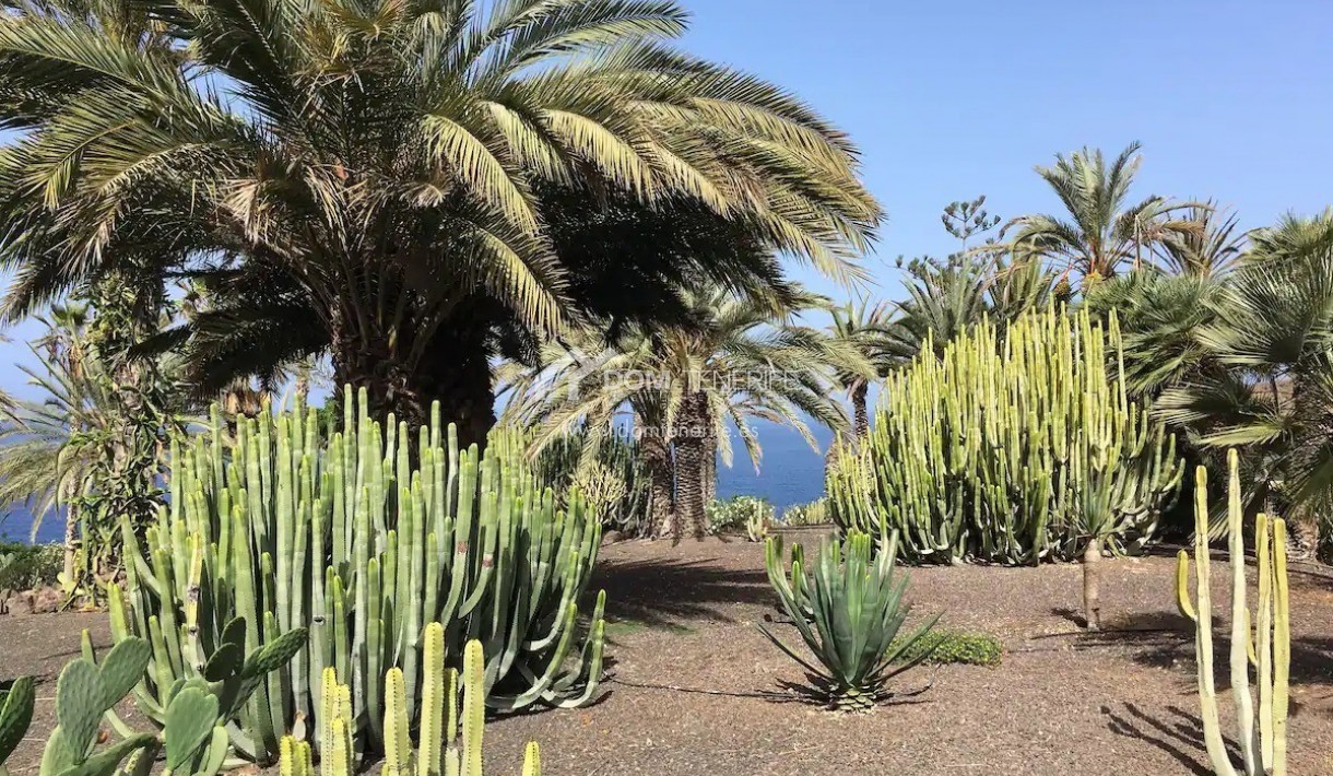 Продажа - Апартамент -
Адехе - Маразул