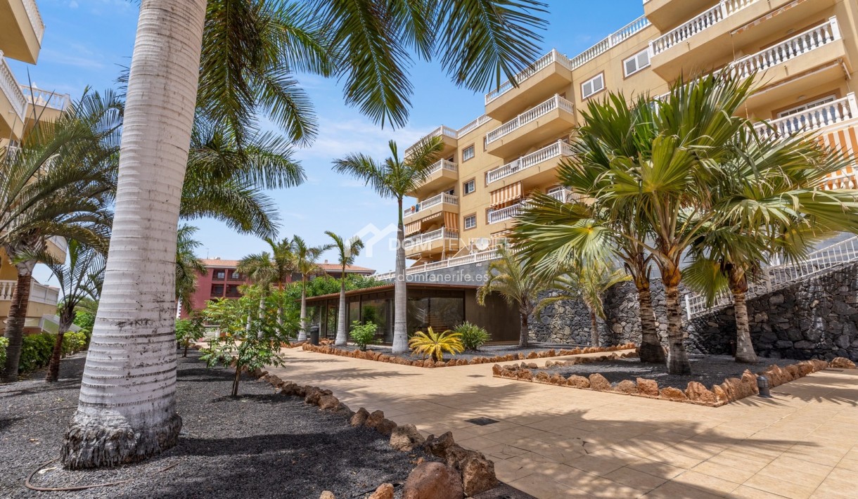 Wiederverkauf - Wohnung -
Arona - Palm Mar