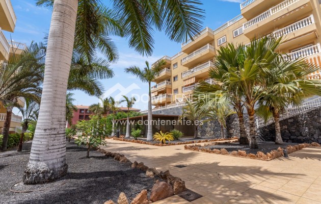 Wiederverkauf - Wohnung -
Arona - Palm Mar
