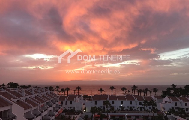 Penthouse Playa de las Américas: vue depuis le logement – penthouse à vendre à Playa de las Américas, Tenerife