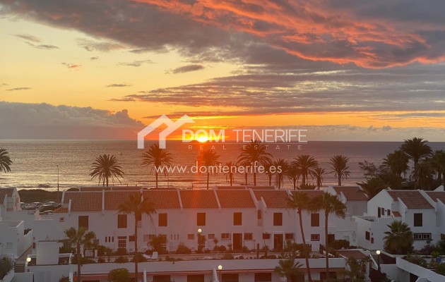Penthouse Playa de las Américas: vue depuis le logement – penthouse à vendre à Playa de las Américas, Tenerife