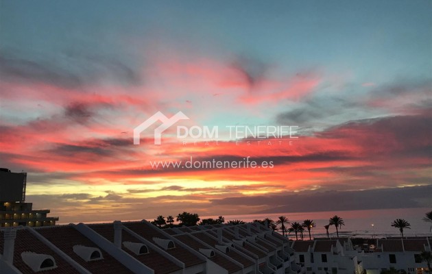 Penthouse Playa de las Américas: vue depuis le logement – penthouse à vendre à Playa de las Américas, Tenerife