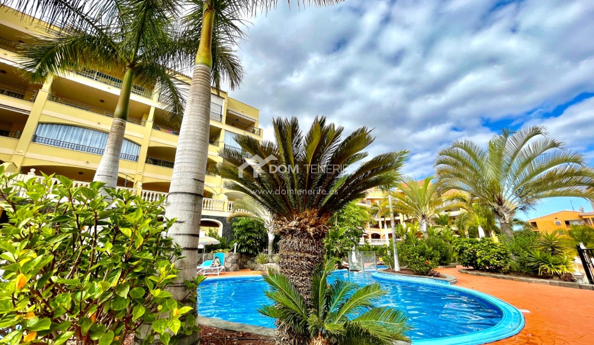 Alquiler - Apartamento -
Arona - Palm Mar