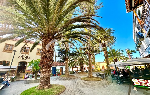 Langfristige mieten - Studio -
Puerto de La Cruz  - Puerto de La Cruz