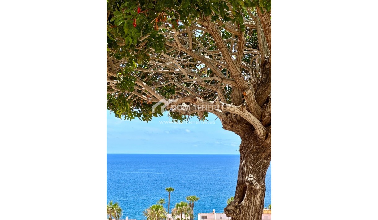 Alquiler a largo plazo - Apartamento -
San Miguel de Abona - Golf del Sur