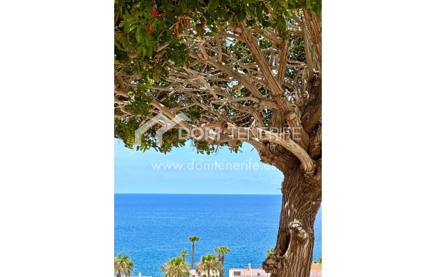 Alquiler a largo plazo - Apartamento -
San Miguel de Abona - Golf del Sur