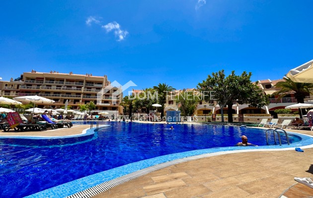 Location - Plat -
Adeje - Playa de Las Americas